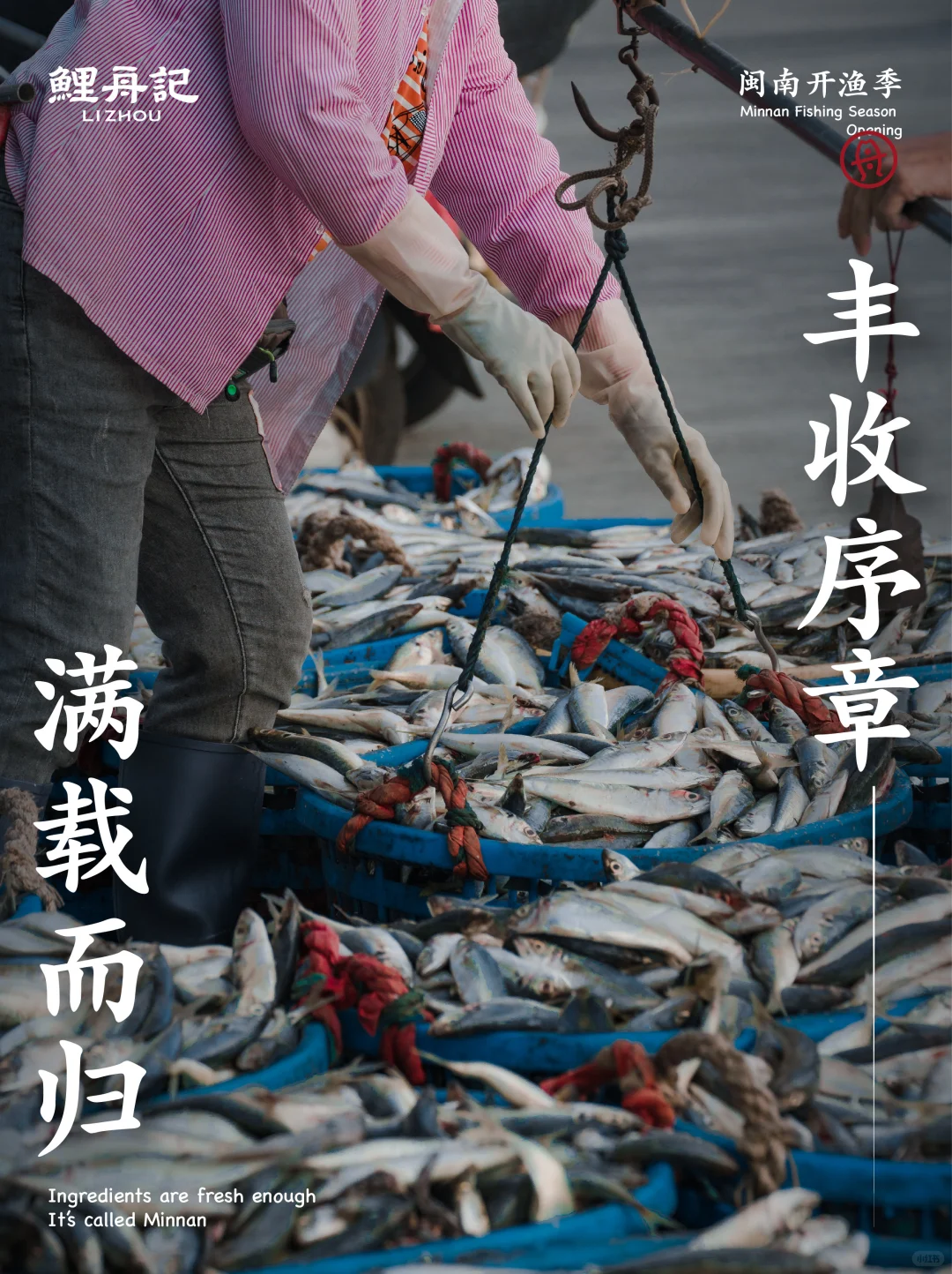 8.16开渔节，追丰收的第一网鲜