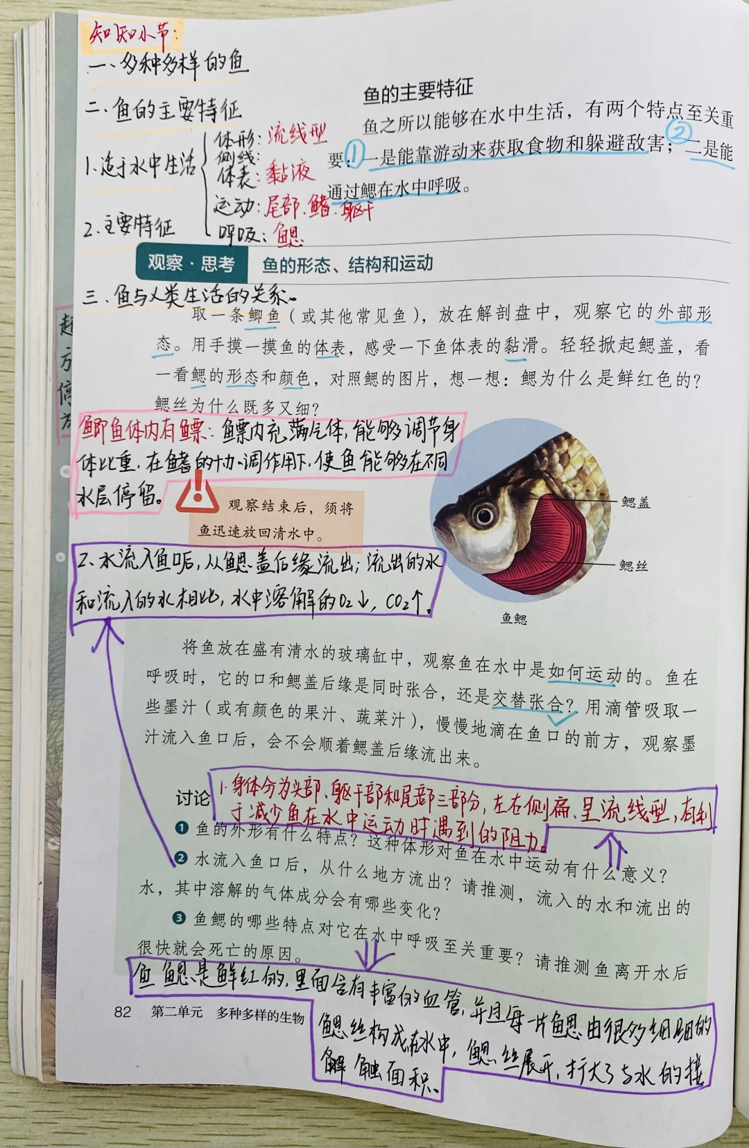 新人教版初中生物七上脊椎动物2.2.2.1鱼