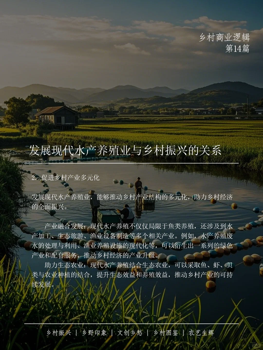 🌊 现代水产养殖助力乡村振兴 🐟✨