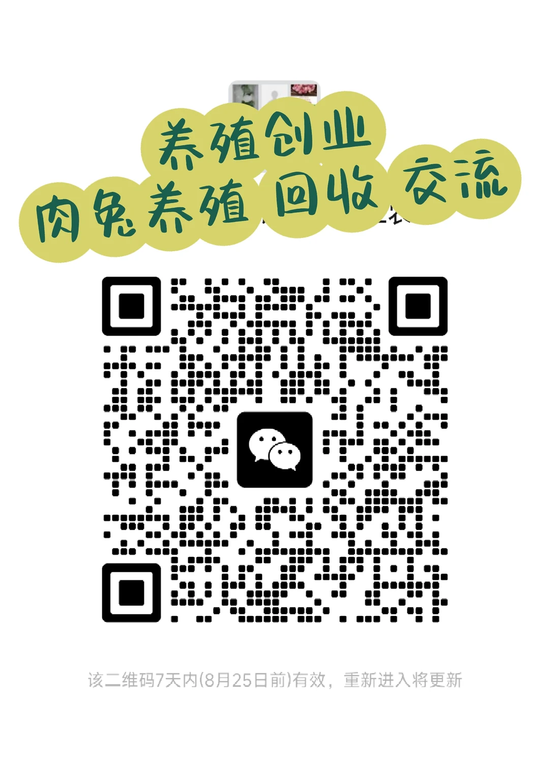 养兔用户 三农一位