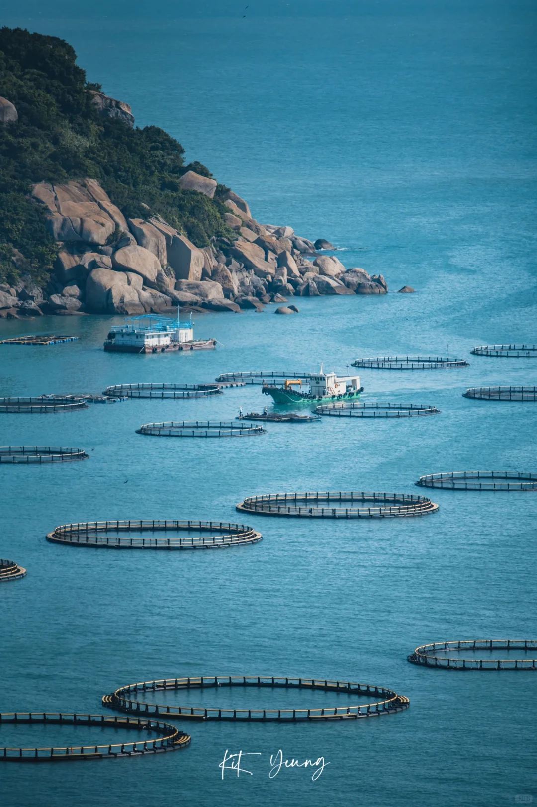 这里有海有山有鱼🌊🏝|桂山岛