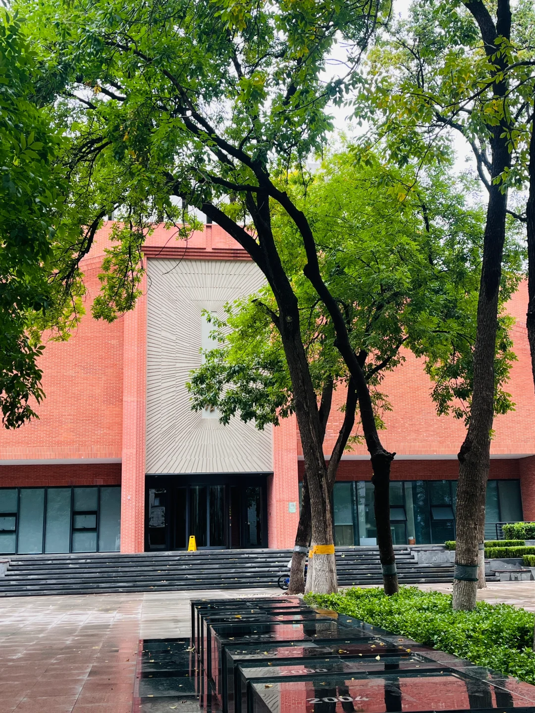 两个半月三跨上岸北林林业专硕（开学篇）