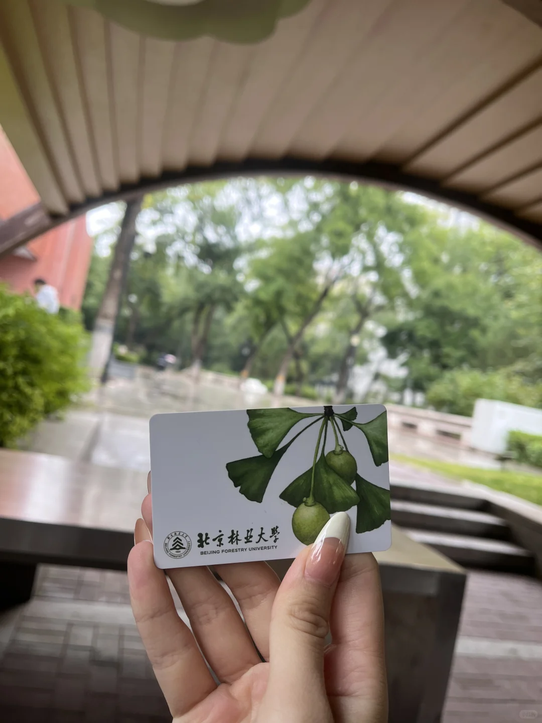 两个半月三跨上岸北林林业专硕（开学篇）