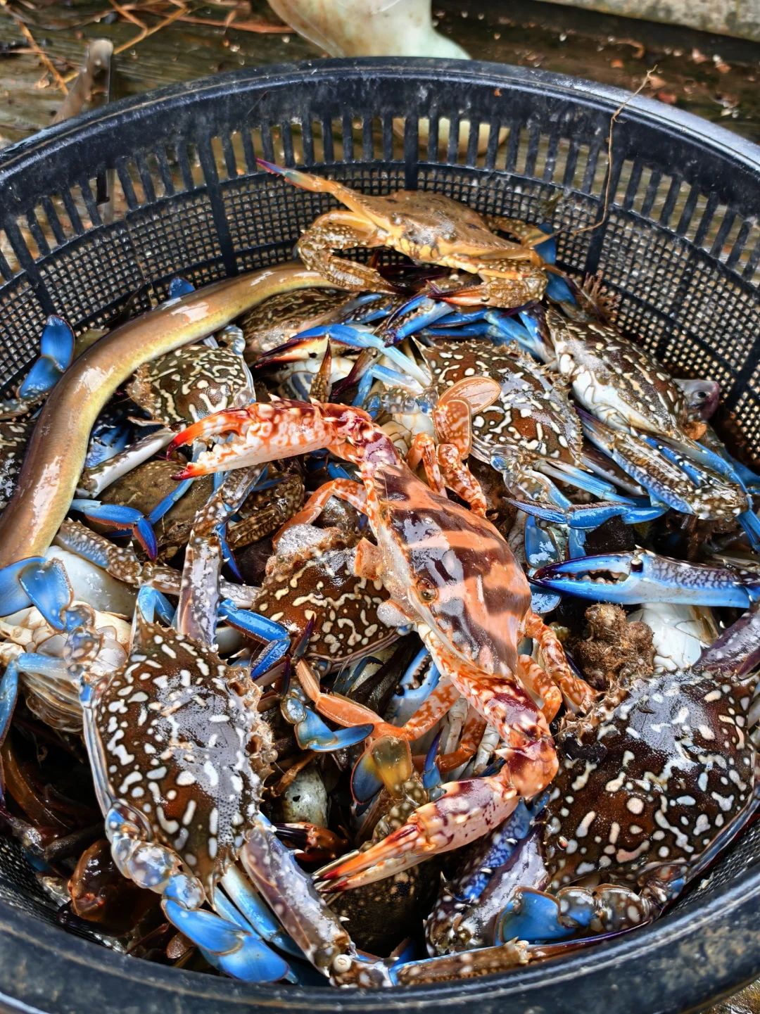 防城港渔夫体验🐟