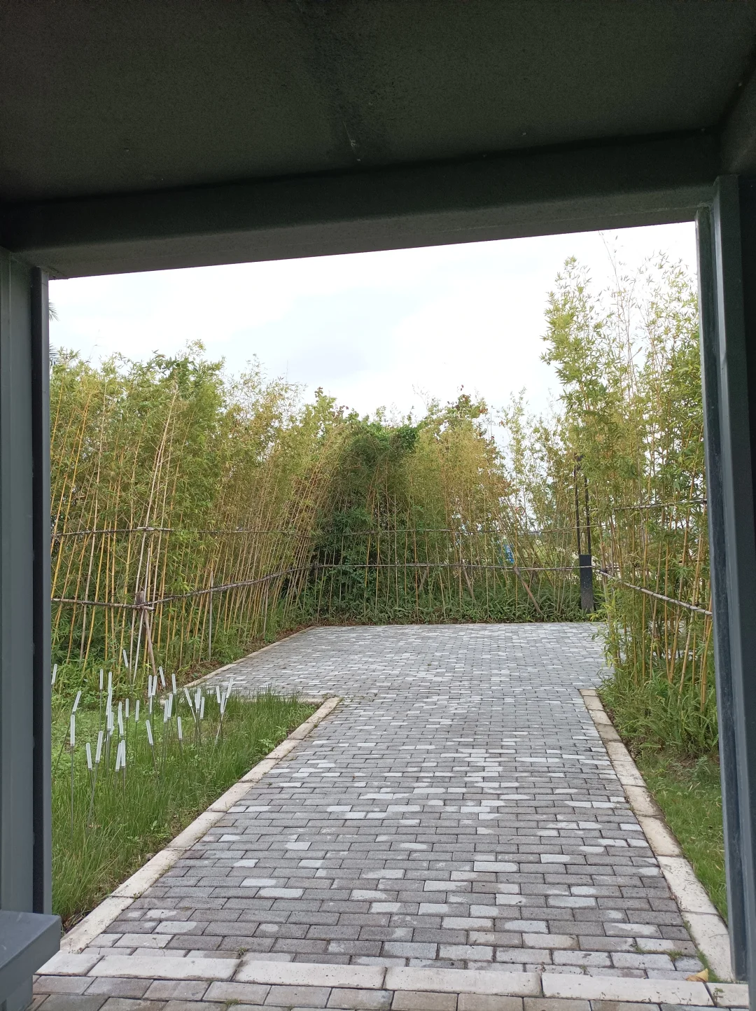 南沙美丽渔场专养蟹中茅台！万亩鱼虾蟹园区