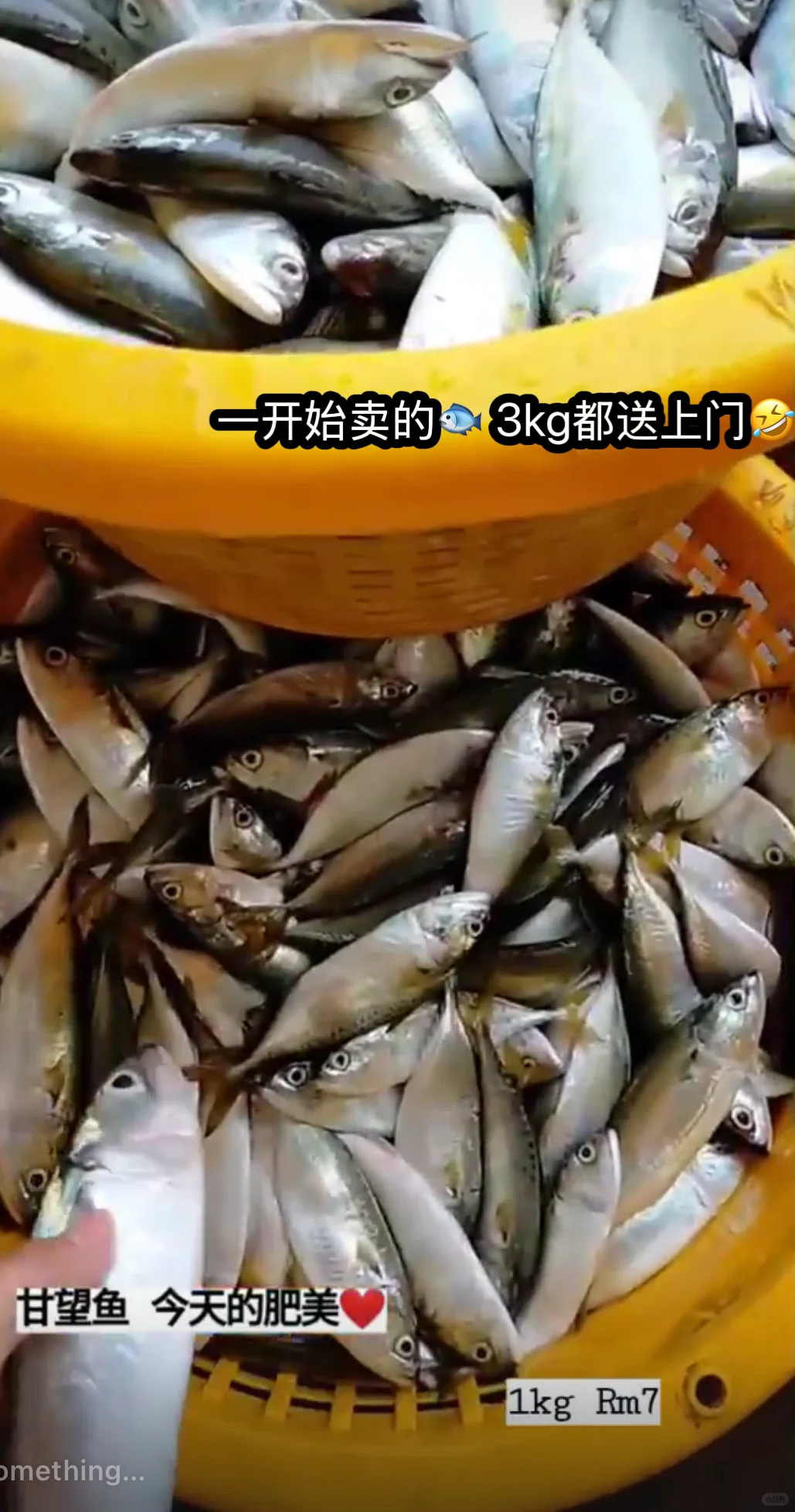 00后女孩 MCO期间勇敢渔业界