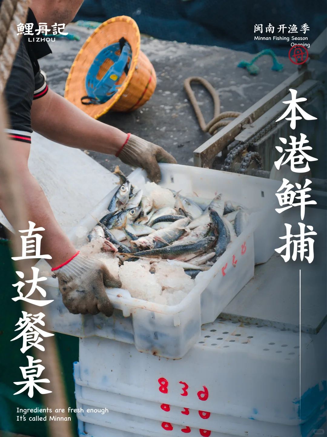 8.16开渔节，追丰收的第一网鲜