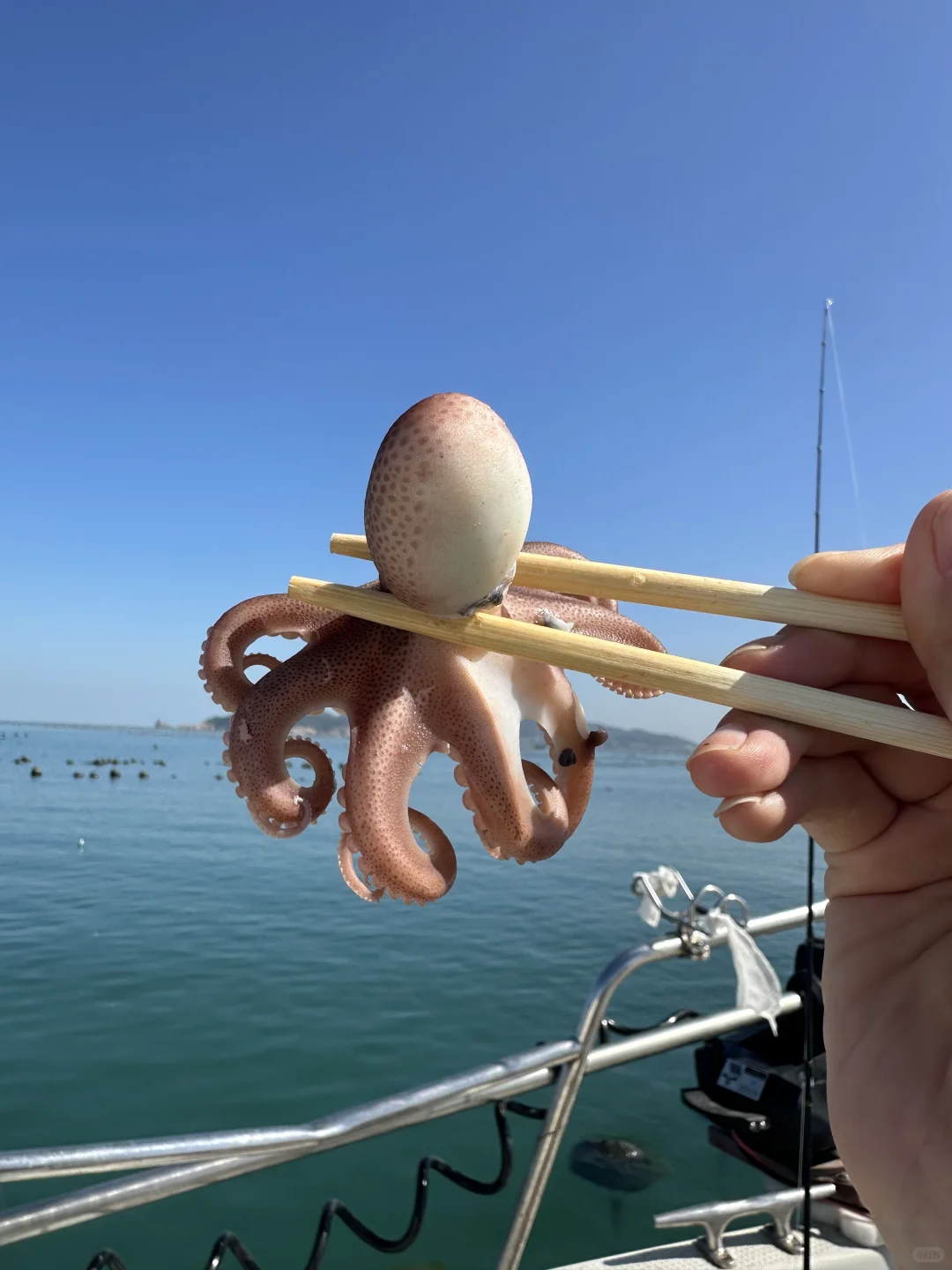 烟台海钓人均198+，能玩3️⃣小时👏👏