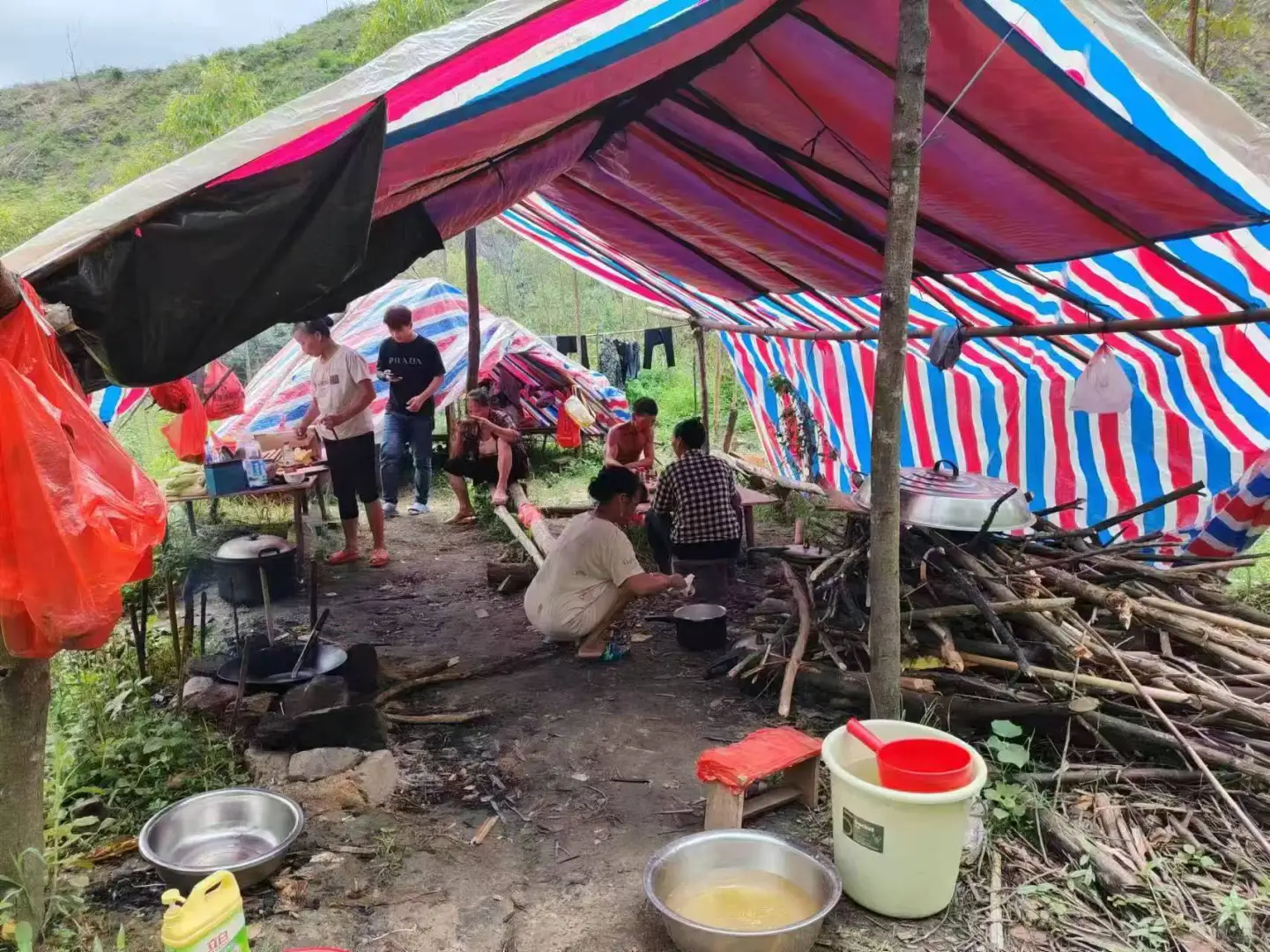 🌲坦白局 | 学林学/进林场？我劝你想清楚