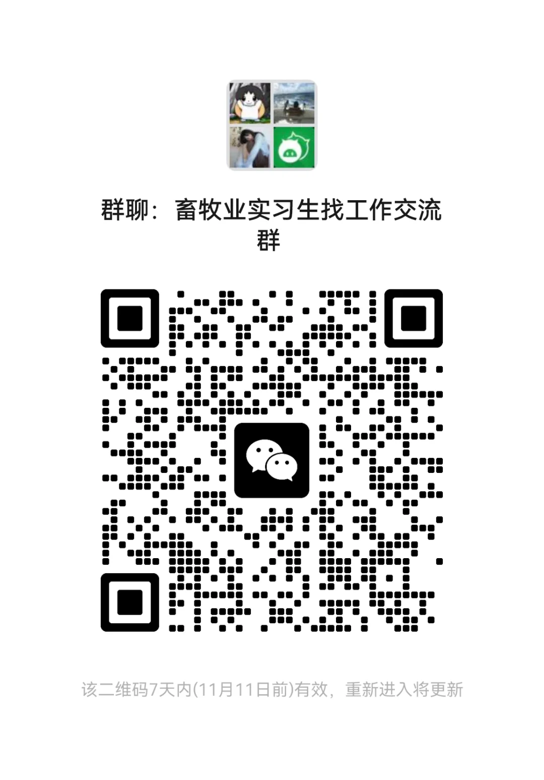 畜牧行业实习交流👗