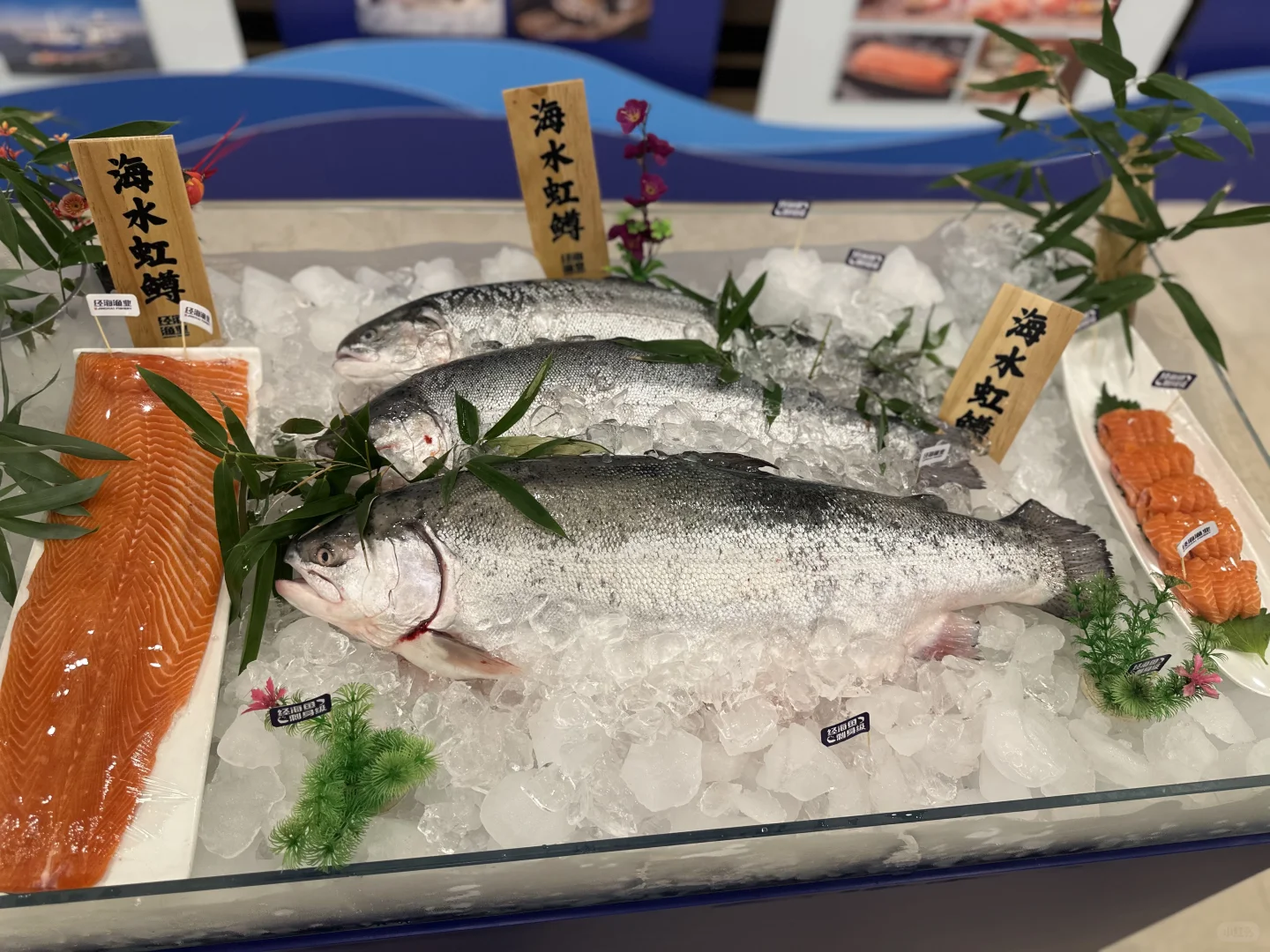 2025深远海养殖高质量发展大会在烟开幕