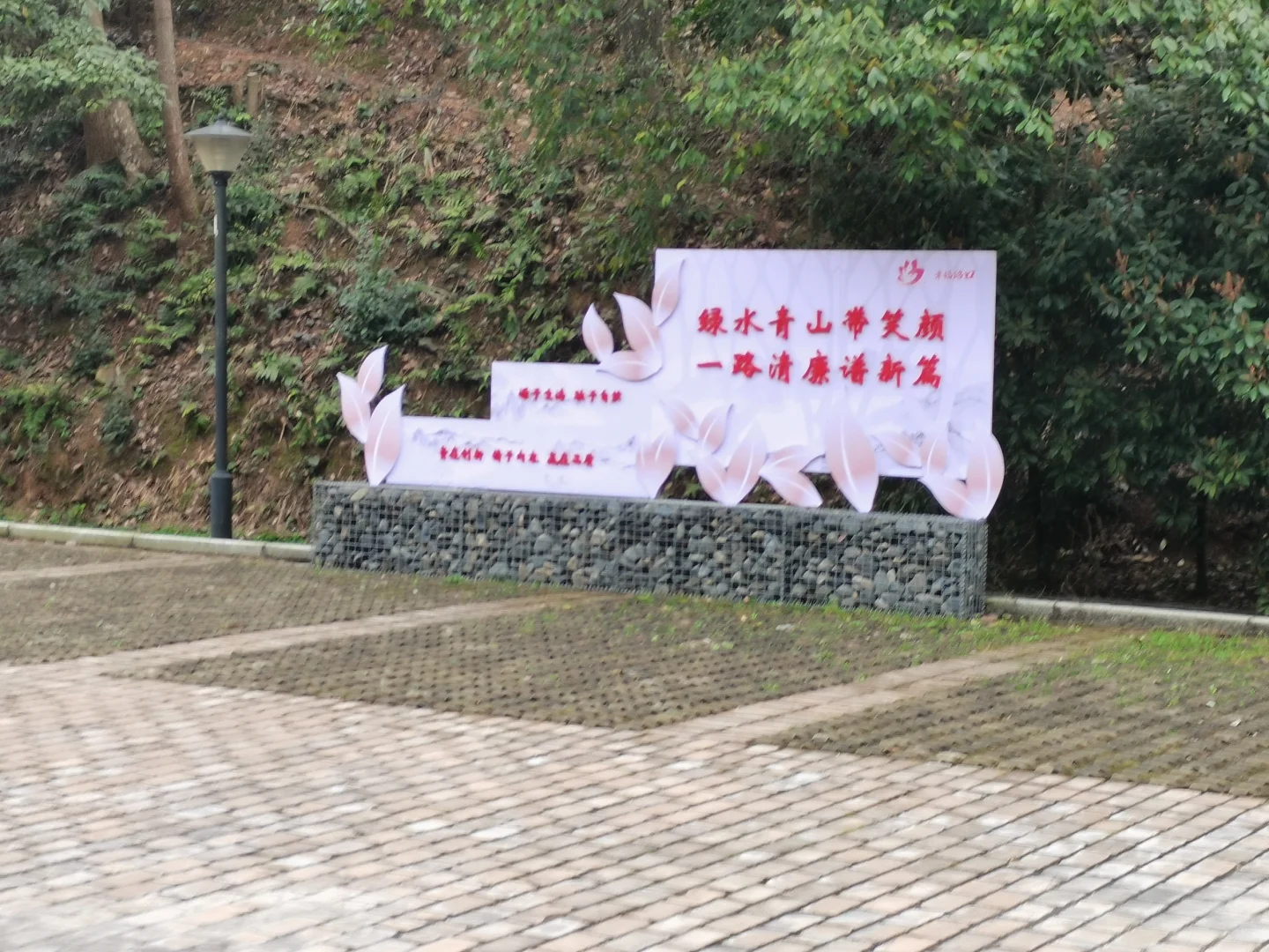 林学人是真的拿命学，别卷林业了