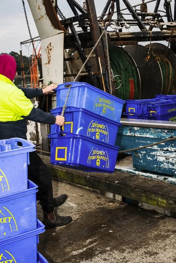 山东威海荣成市远洋渔业集团