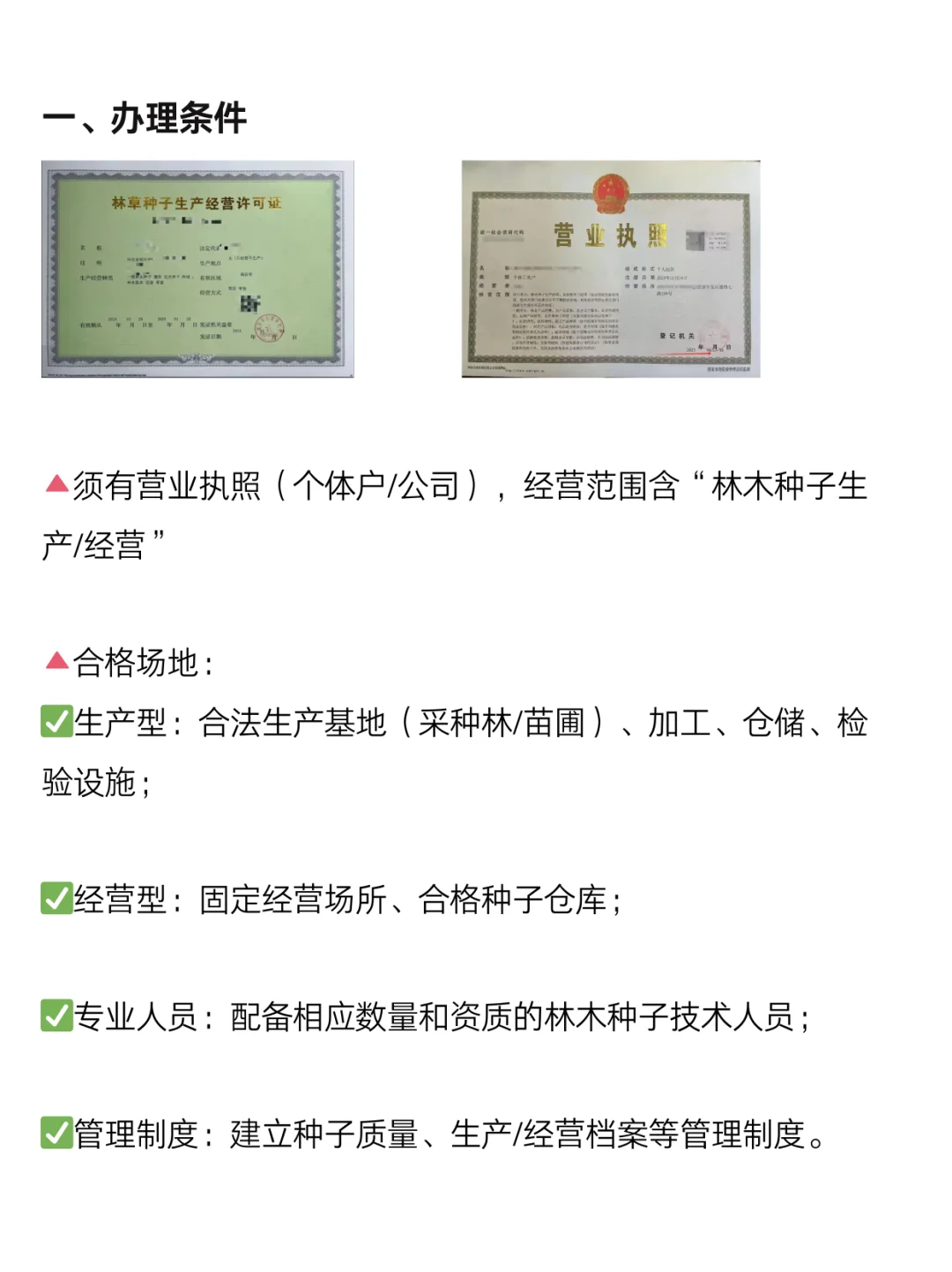 办理一套林木种子经营许可，3天就到手了❗