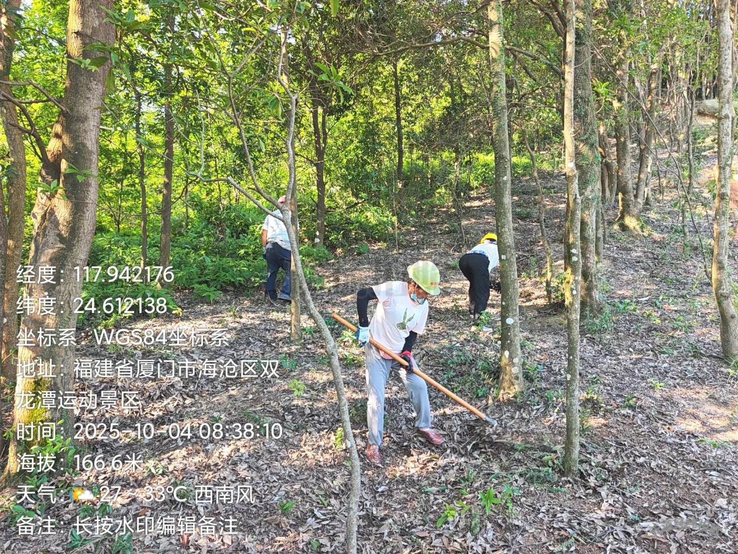 防火林带抚育维修