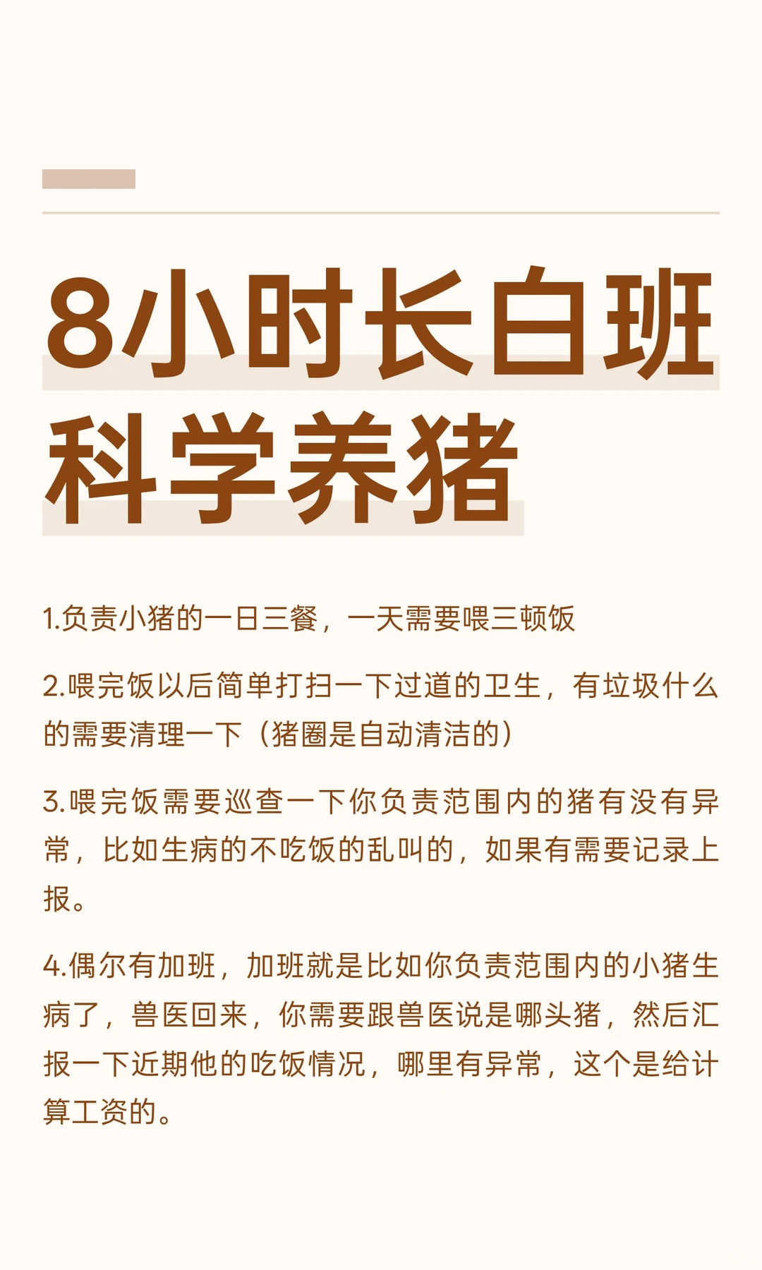 8小时长白班科学养猪