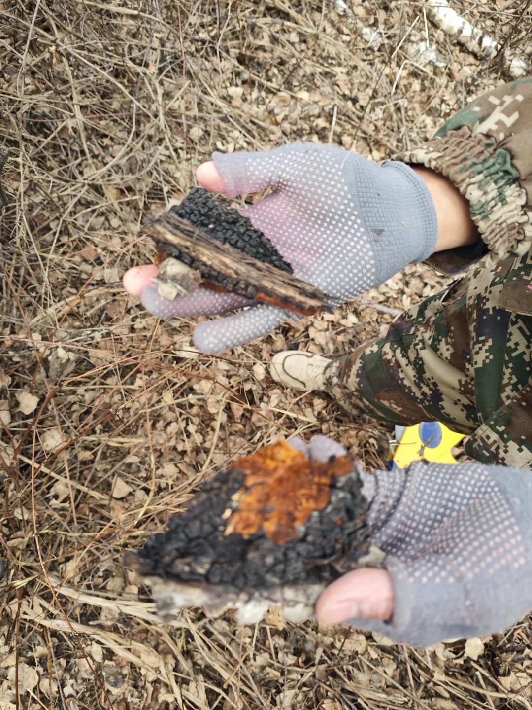 大降温了林业兄弟们工作完成没有