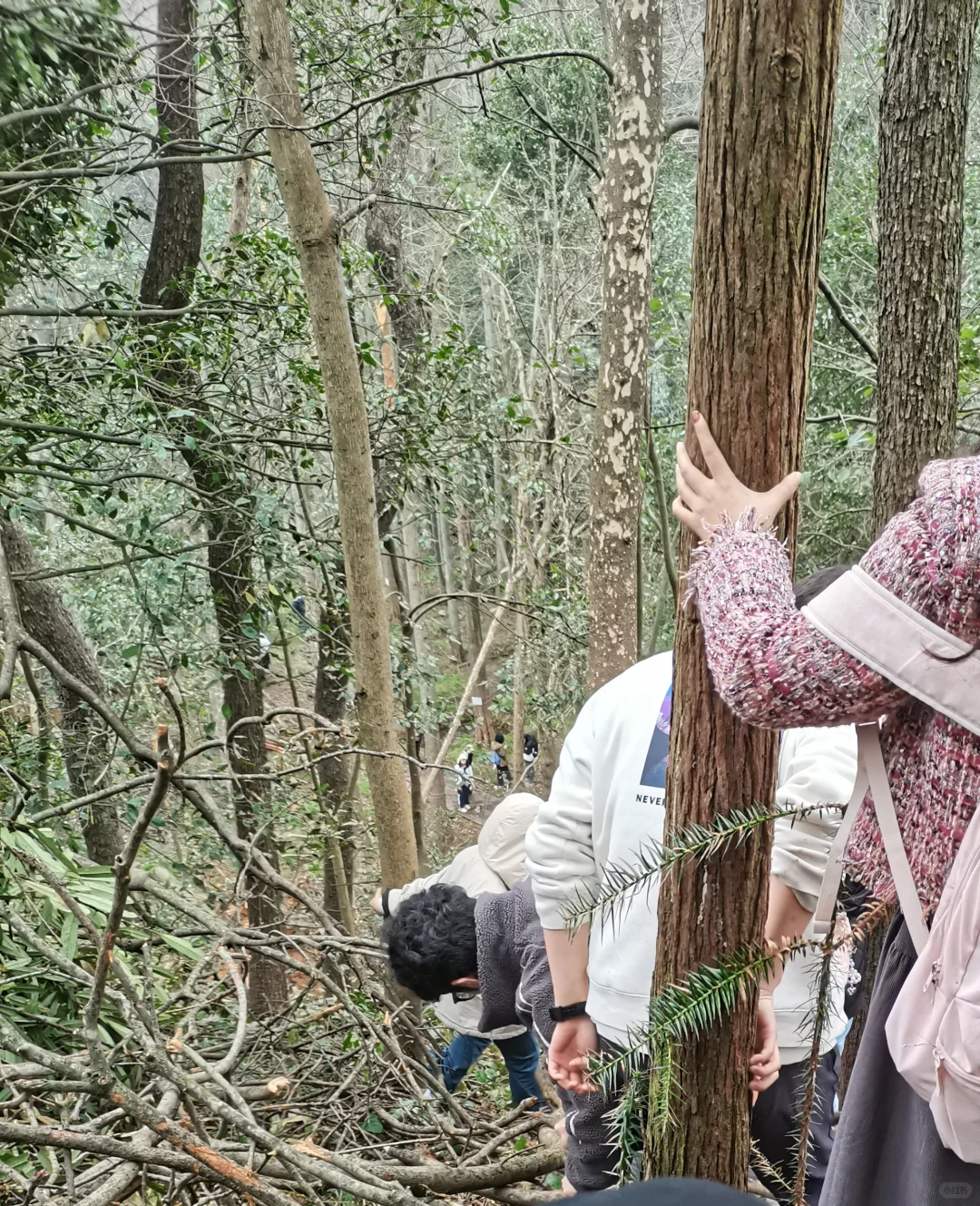林学人是真的拿命学，别卷林业了