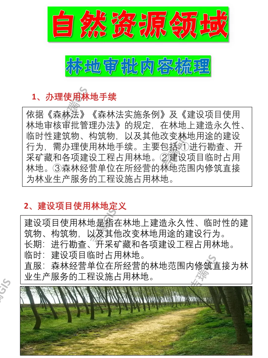 有关林地使用审批内容的梳理