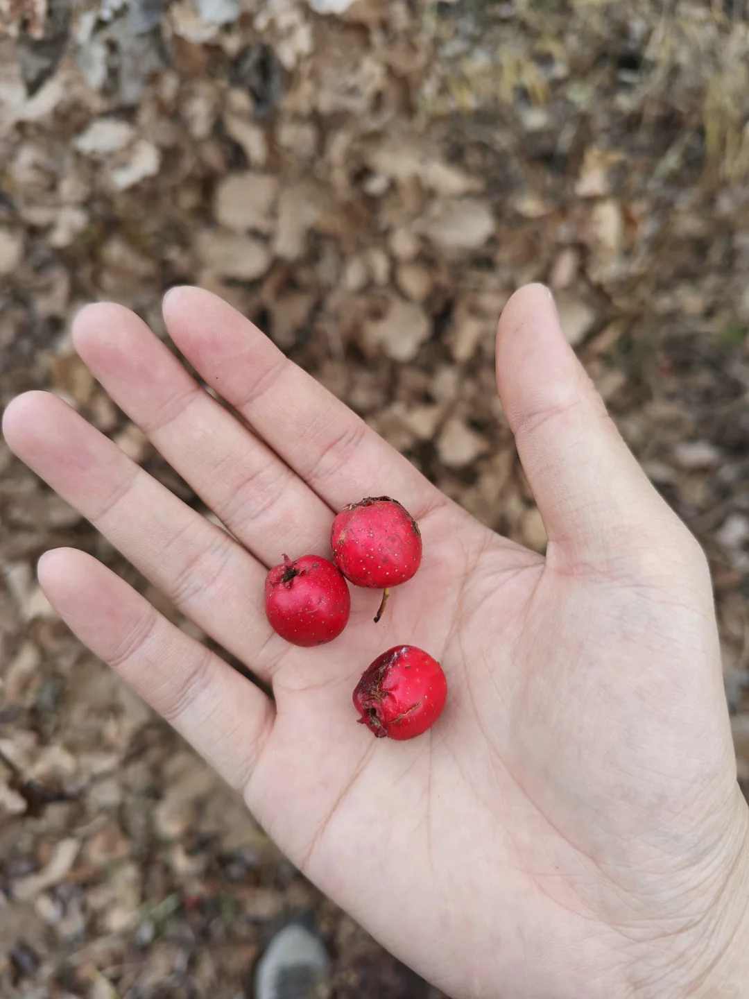大降温了林业兄弟们工作完成没有