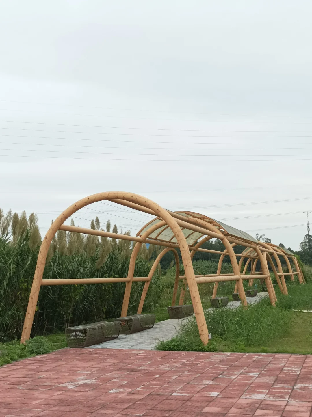 南沙美丽渔场专养蟹中茅台！万亩鱼虾蟹园区