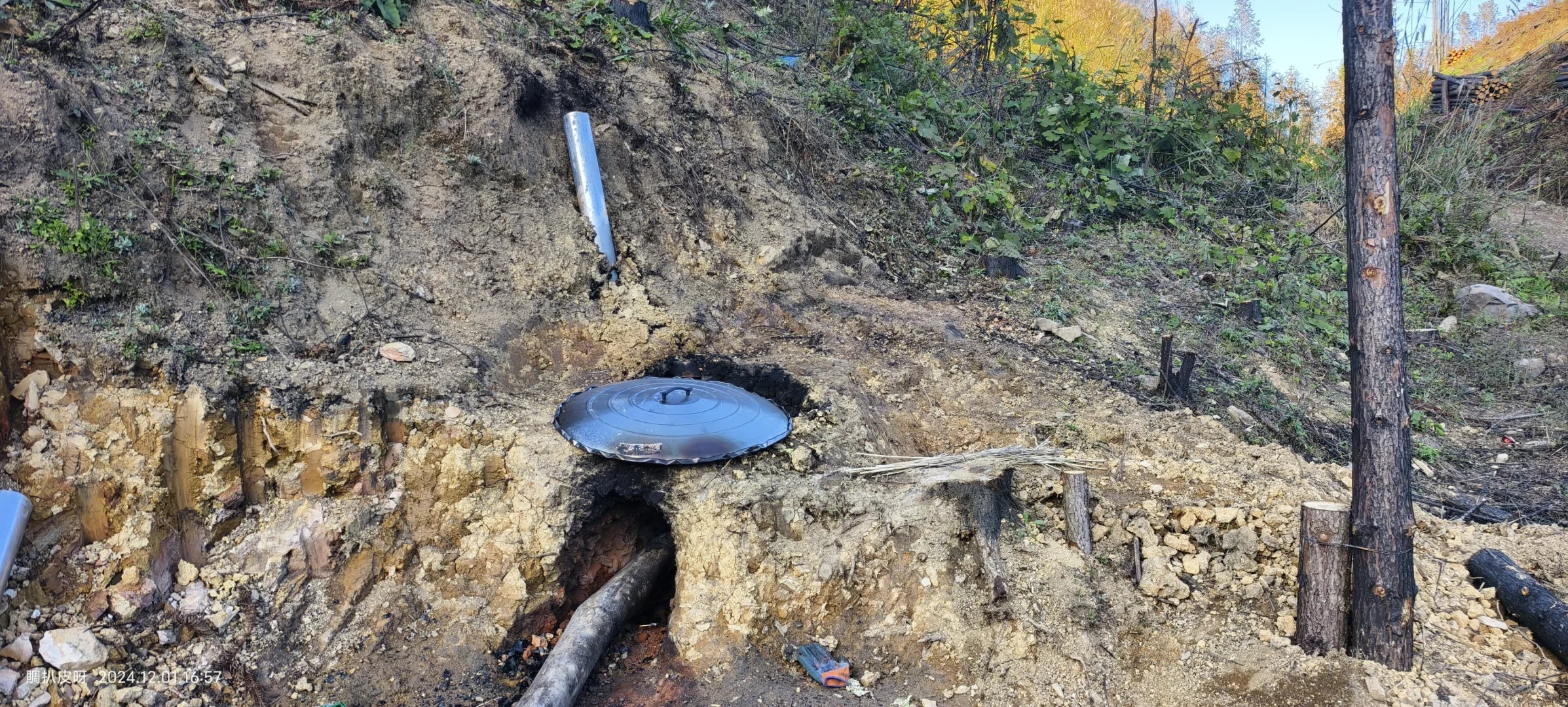 林业基层工作记录1