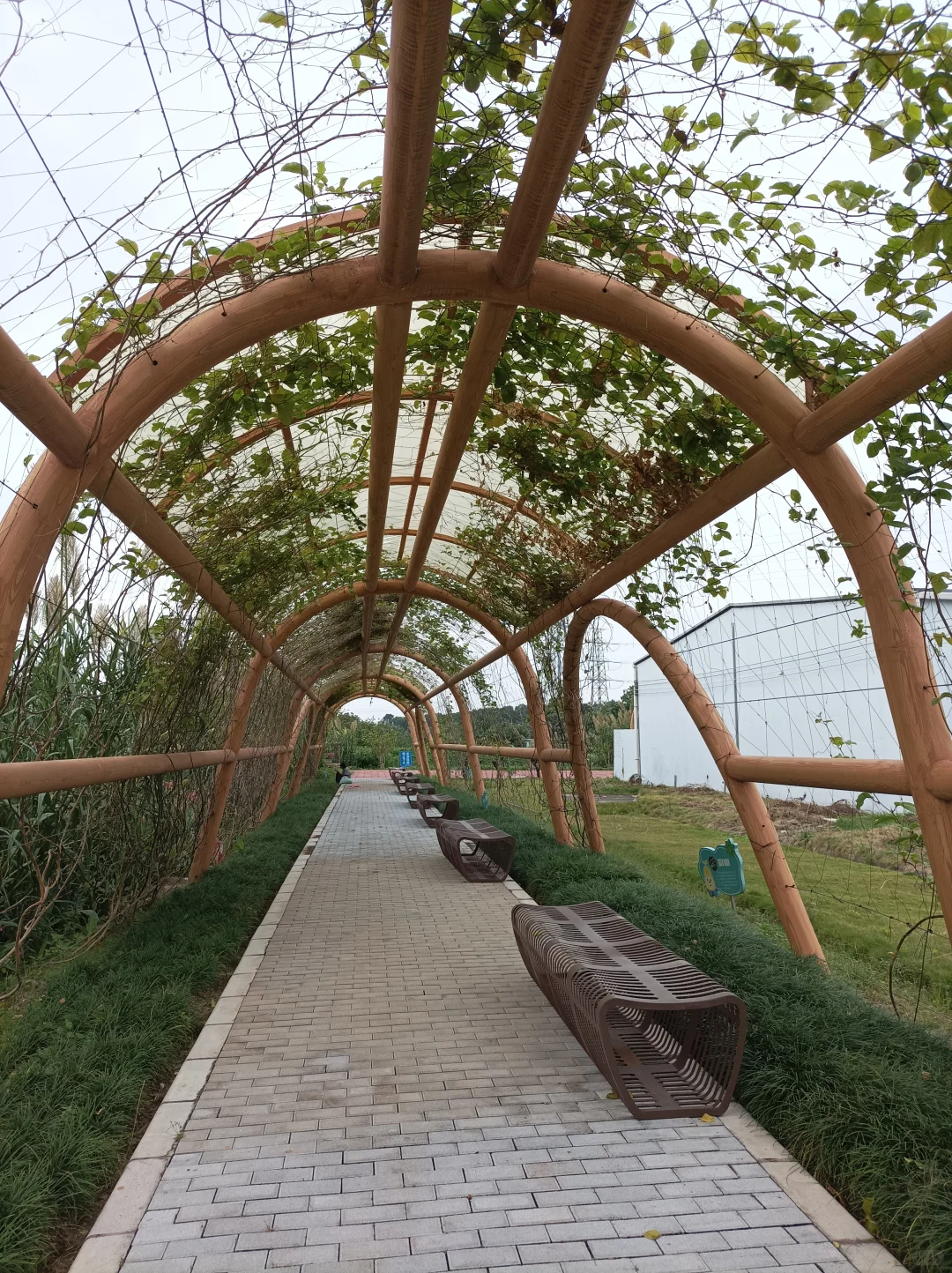 南沙美丽渔场专养蟹中茅台！万亩鱼虾蟹园区