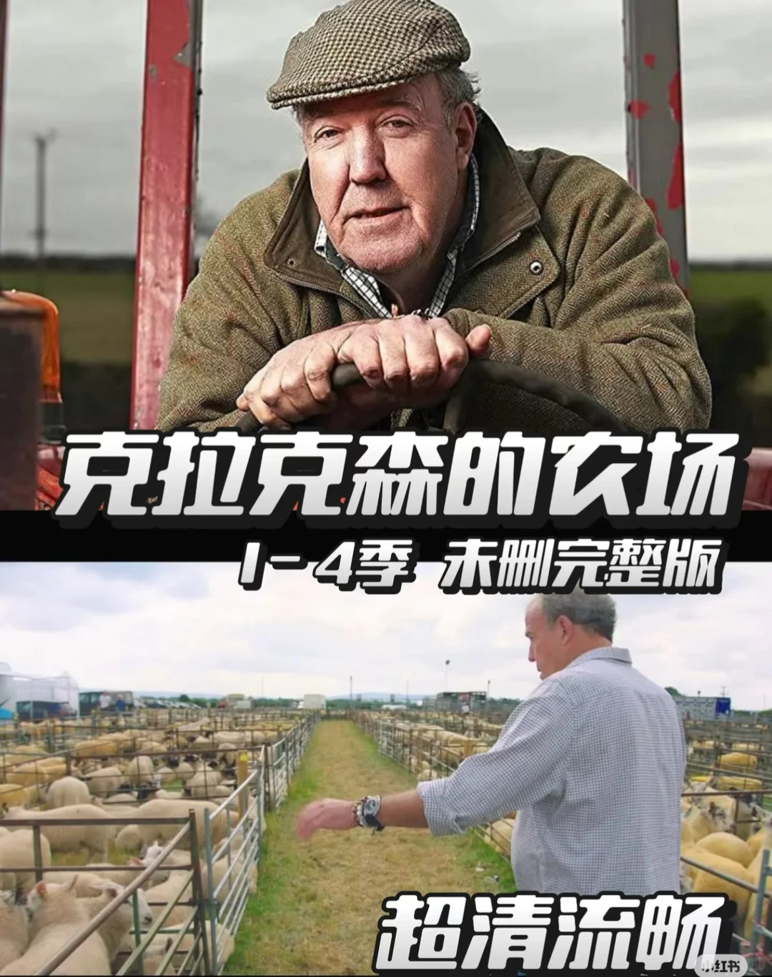 最近在看的一些好东西