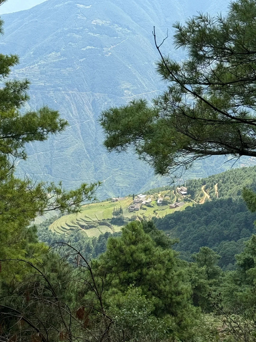 乡镇林业站工作日常｜在现实版的云边镇过秋