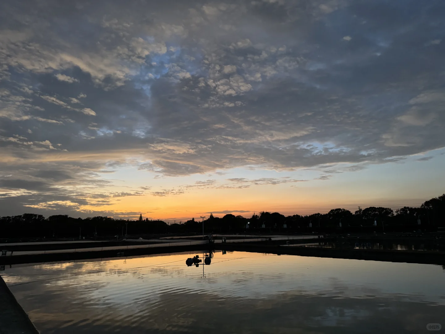 南京农业大学无锡渔业学院的今日夕阳
