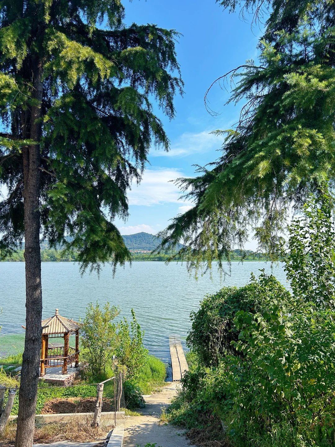 武汉蔡甸有个爆火的“济州岛”小村庄你知道吗