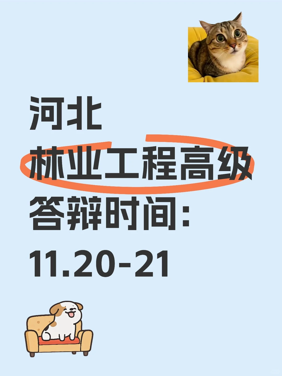 林业工程高级答辩时间