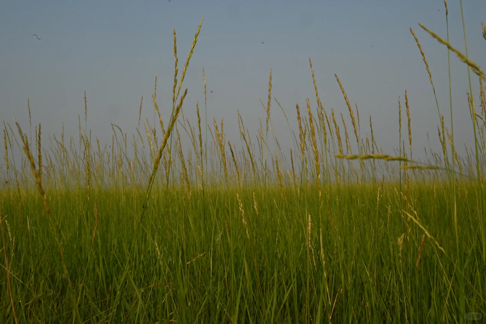 林业人的命也是命