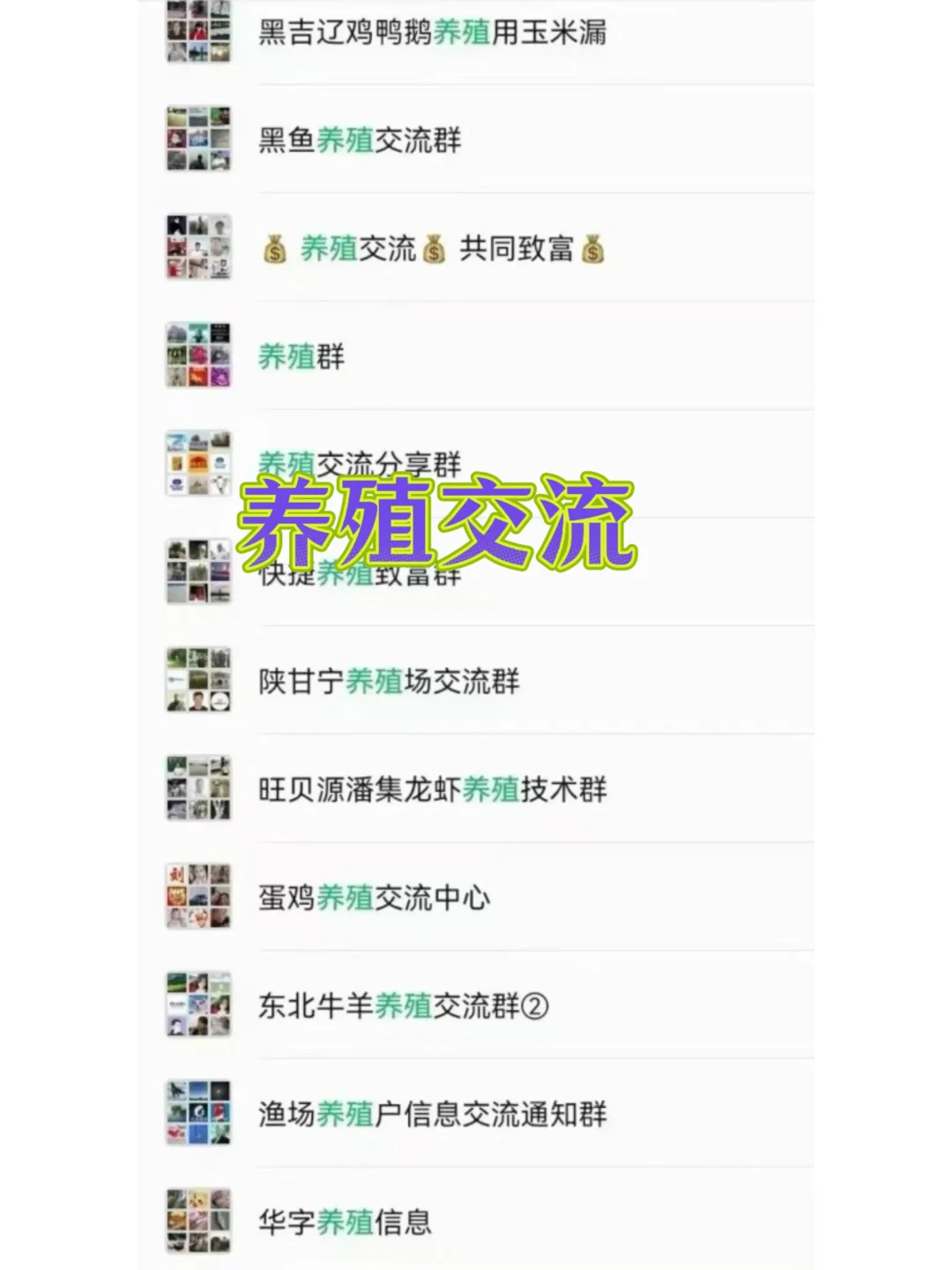 养殖人速存！这些交流裙直接帮你“开挂”