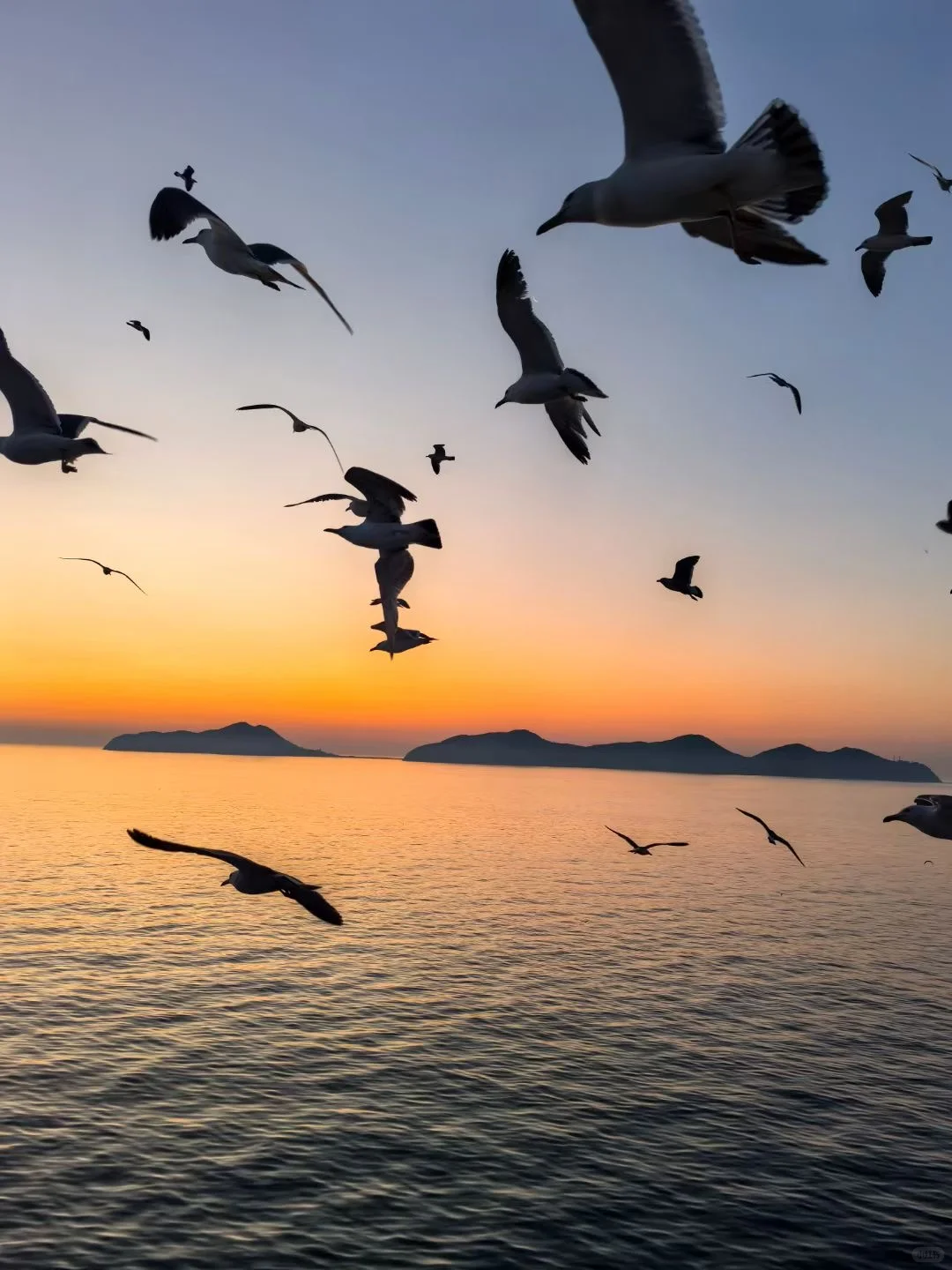 烟台海钓人均198+，能玩3️⃣小时👏👏