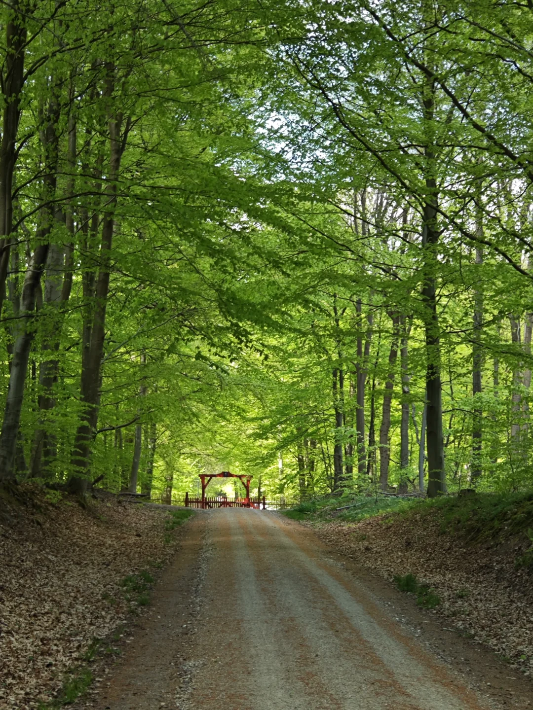 林学人的外业照片🌲