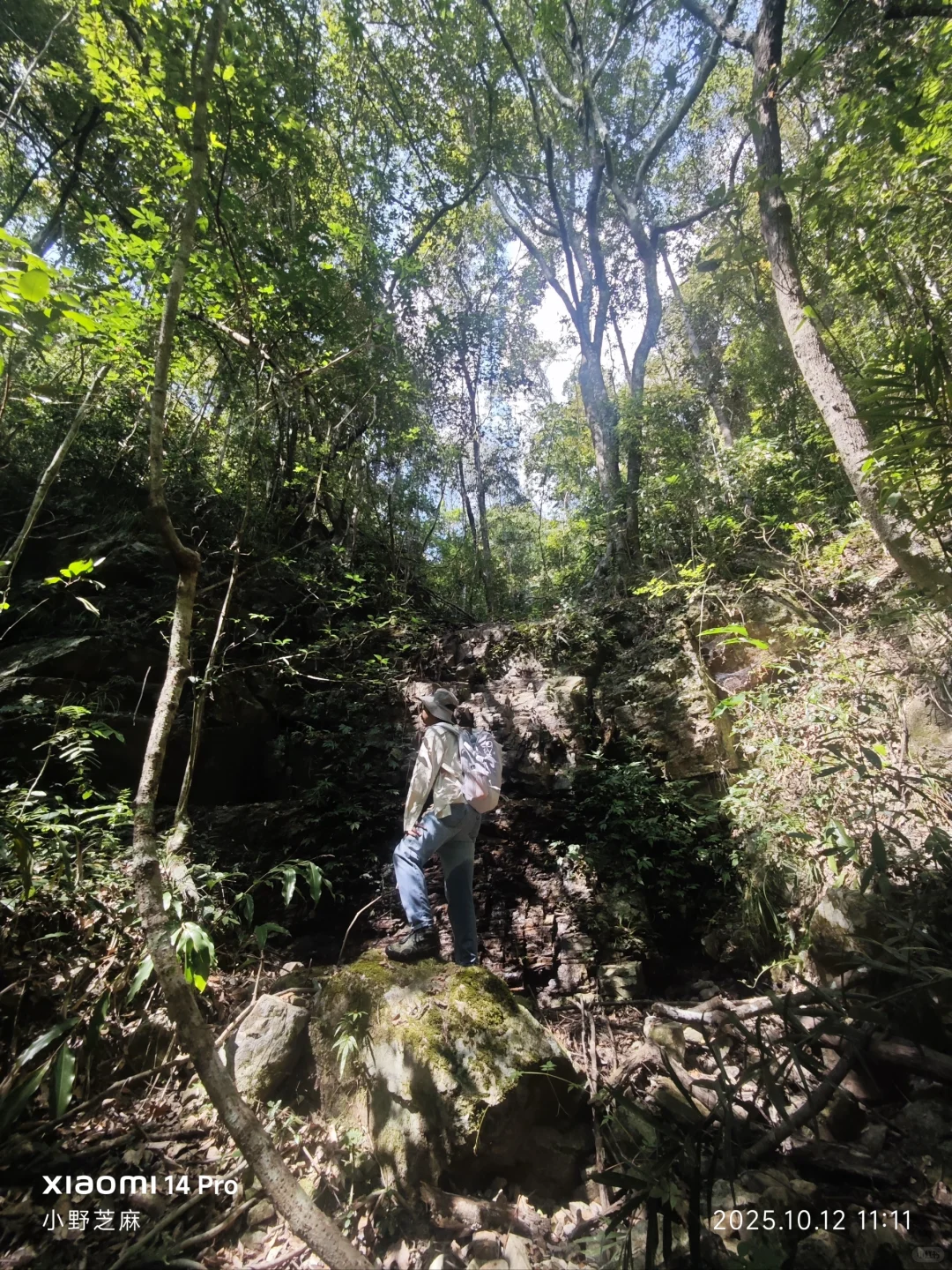 林学的博士是这样出野外的