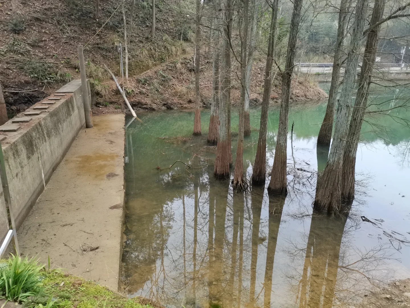 林学人是真的拿命学，别卷林业了