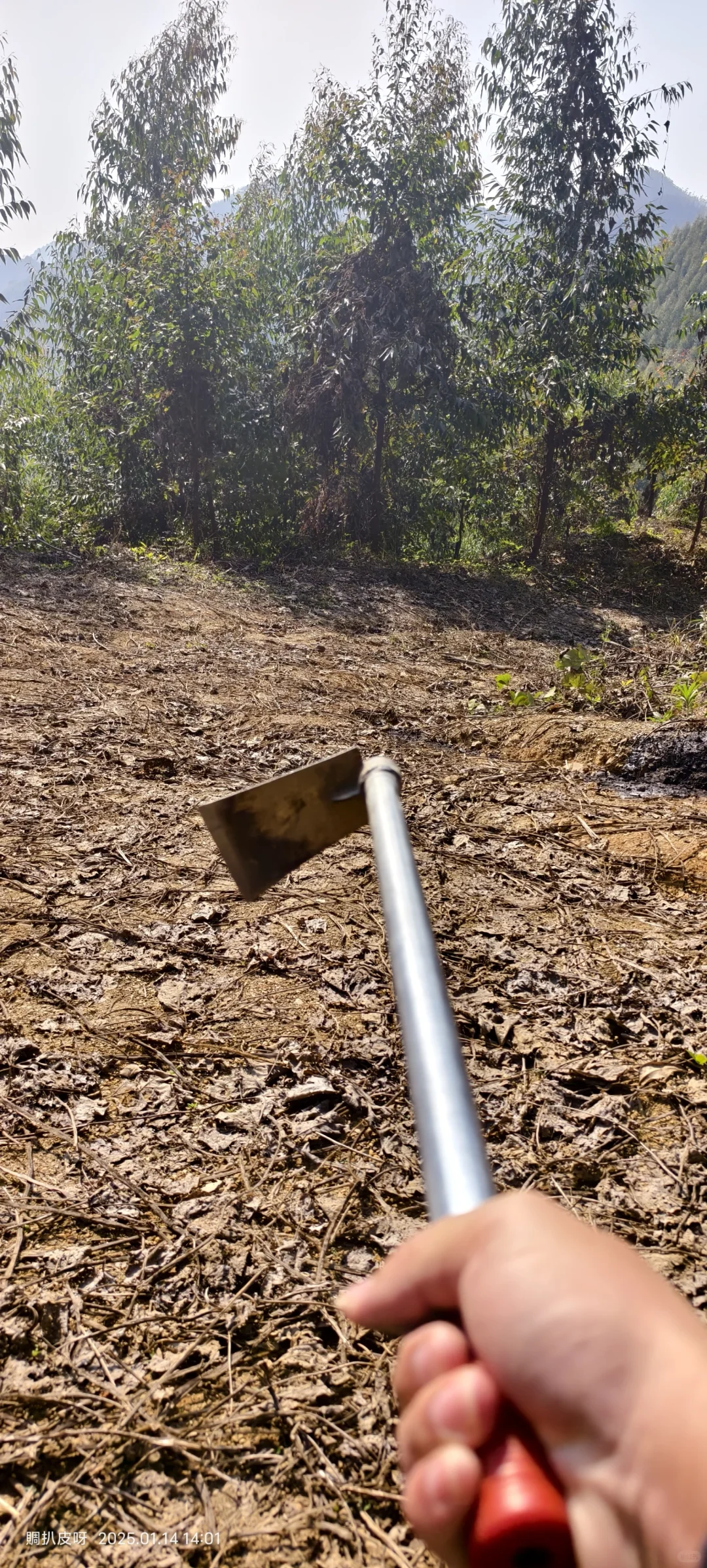 林业基层工作记录1