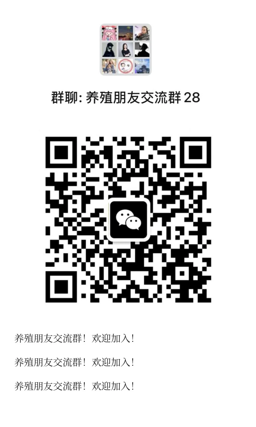 养殖朋友交流群！欢迎加入！