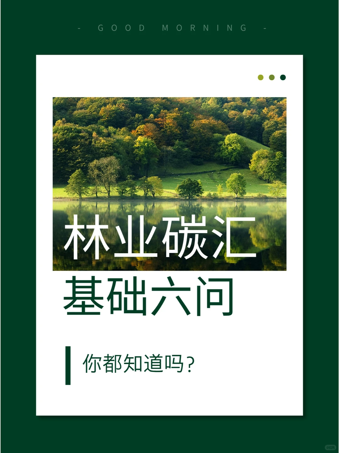 林业碳汇基础六问🌳💨你知道多少？