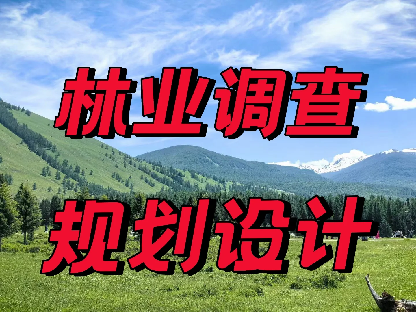 林业调查规划设计