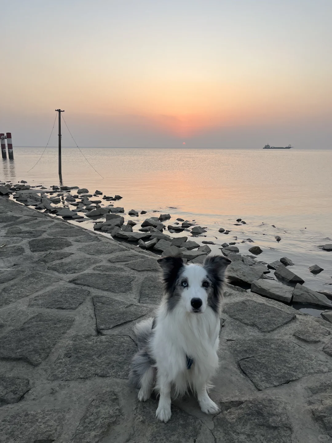 崇明超小众丁坝日落点｜向化镇渔业村