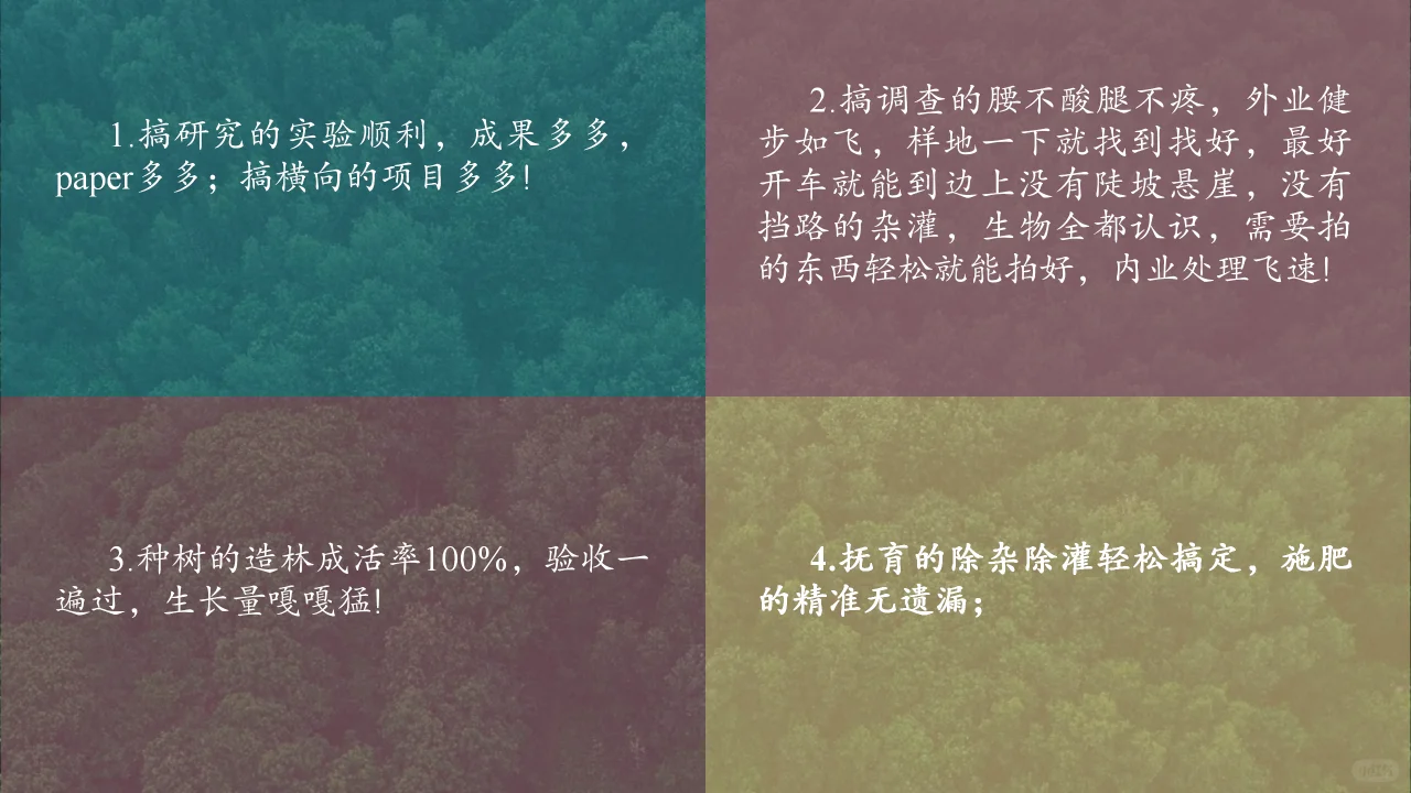 给林业人的新年祝福