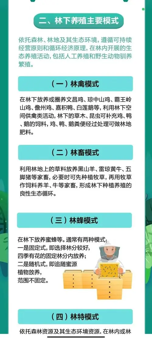高中地理知识：林下经济🌲