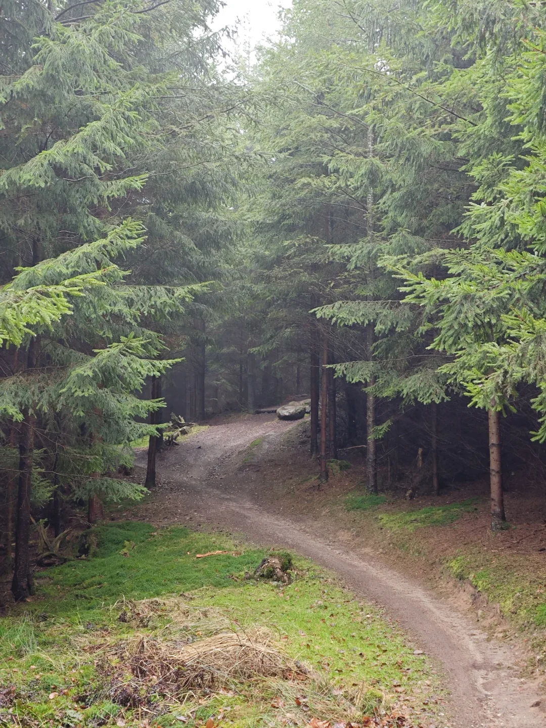 林学人的外业照片🌲