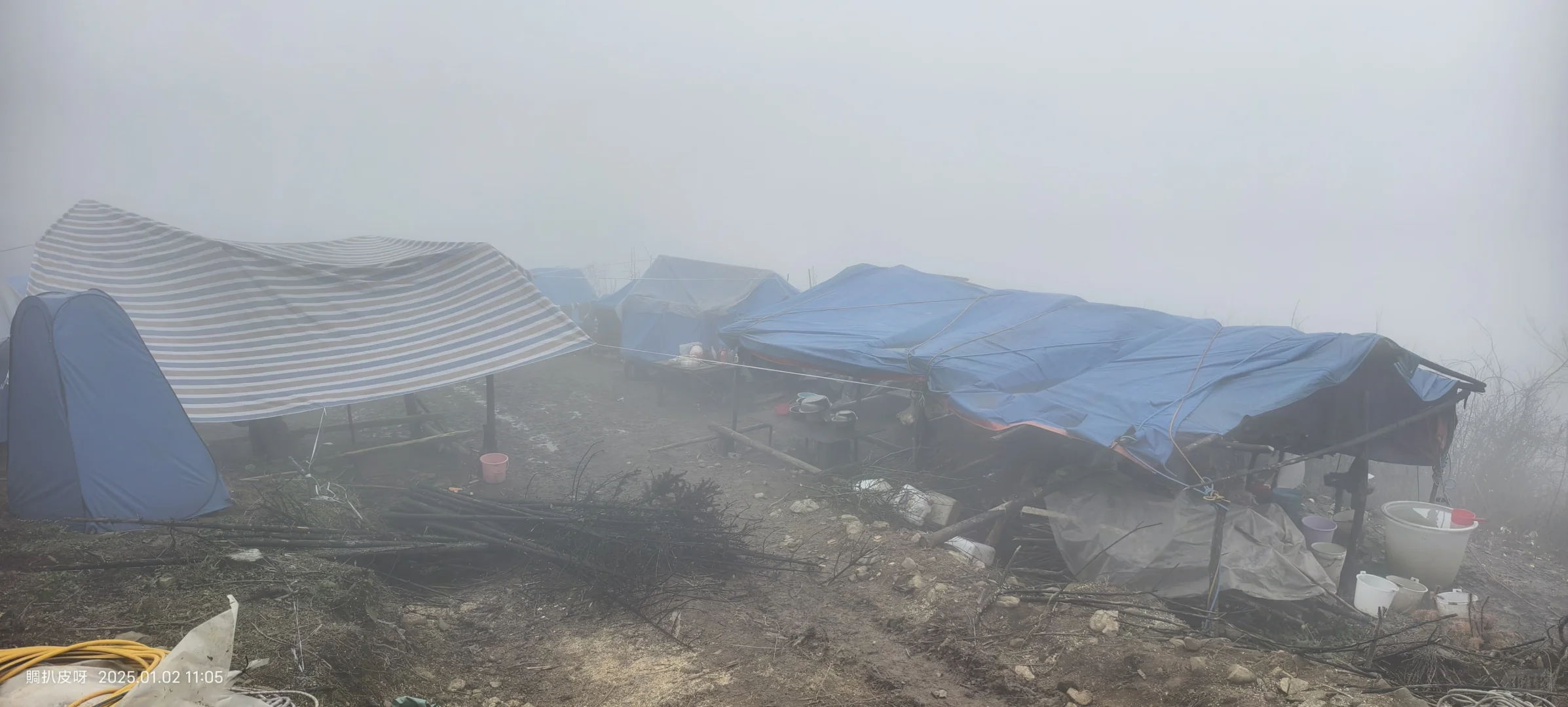 林业基层工作记录1