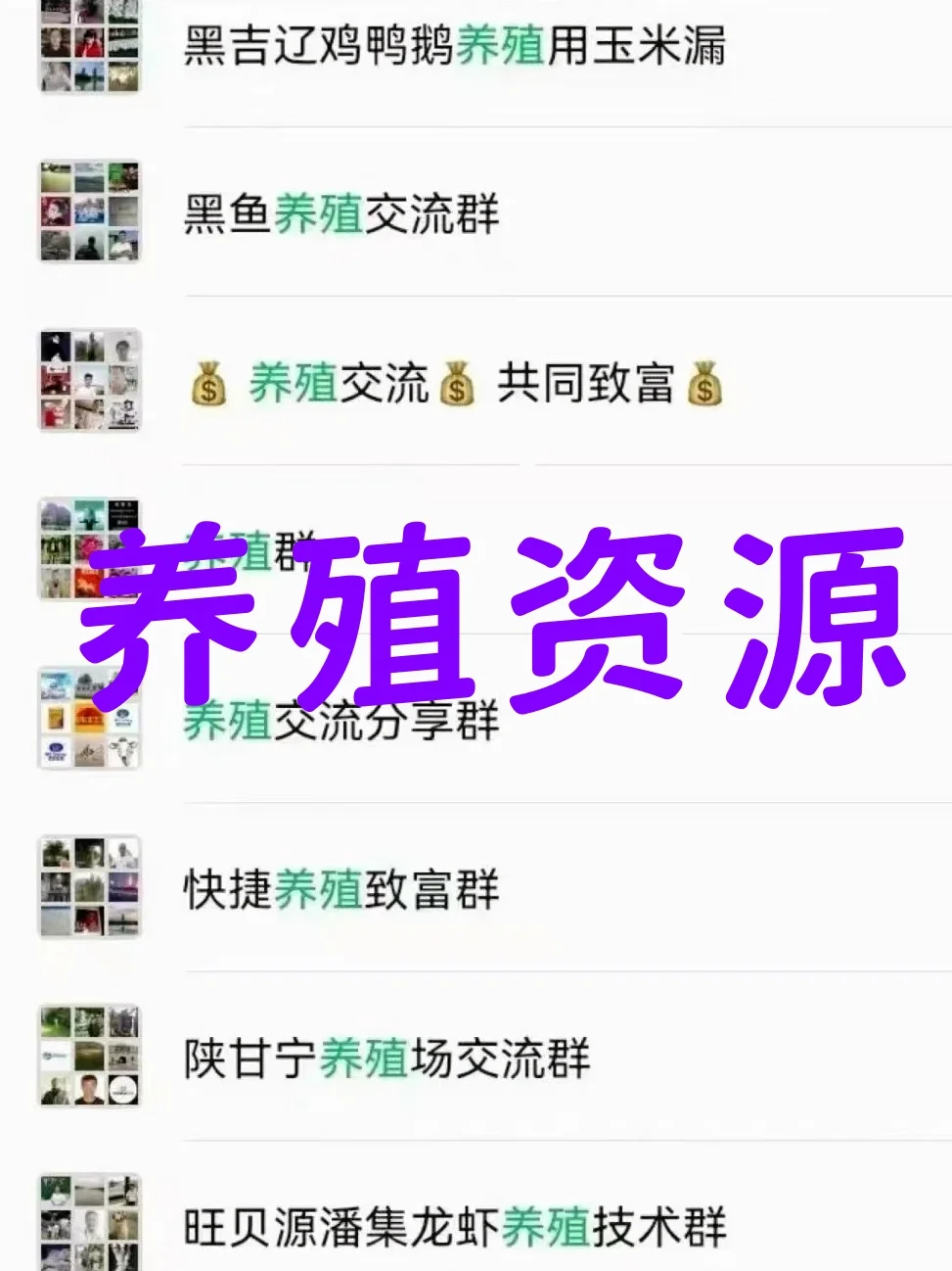 🐓养殖人注意！高价值行业资源群大开放！