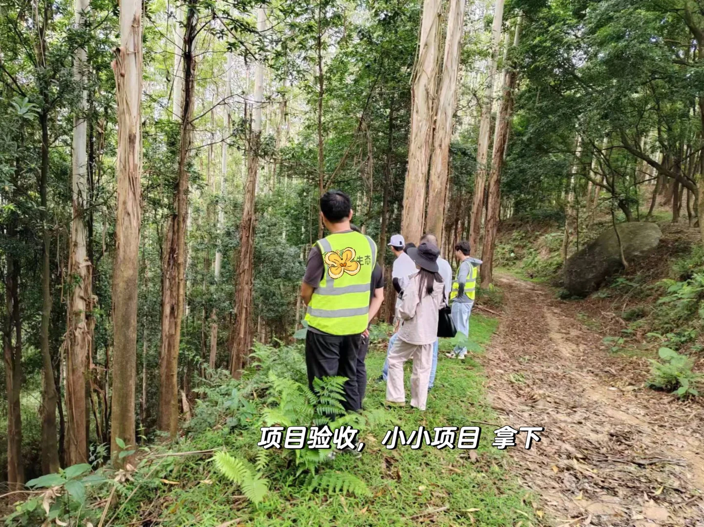 林业工作者乱七八糟的日常