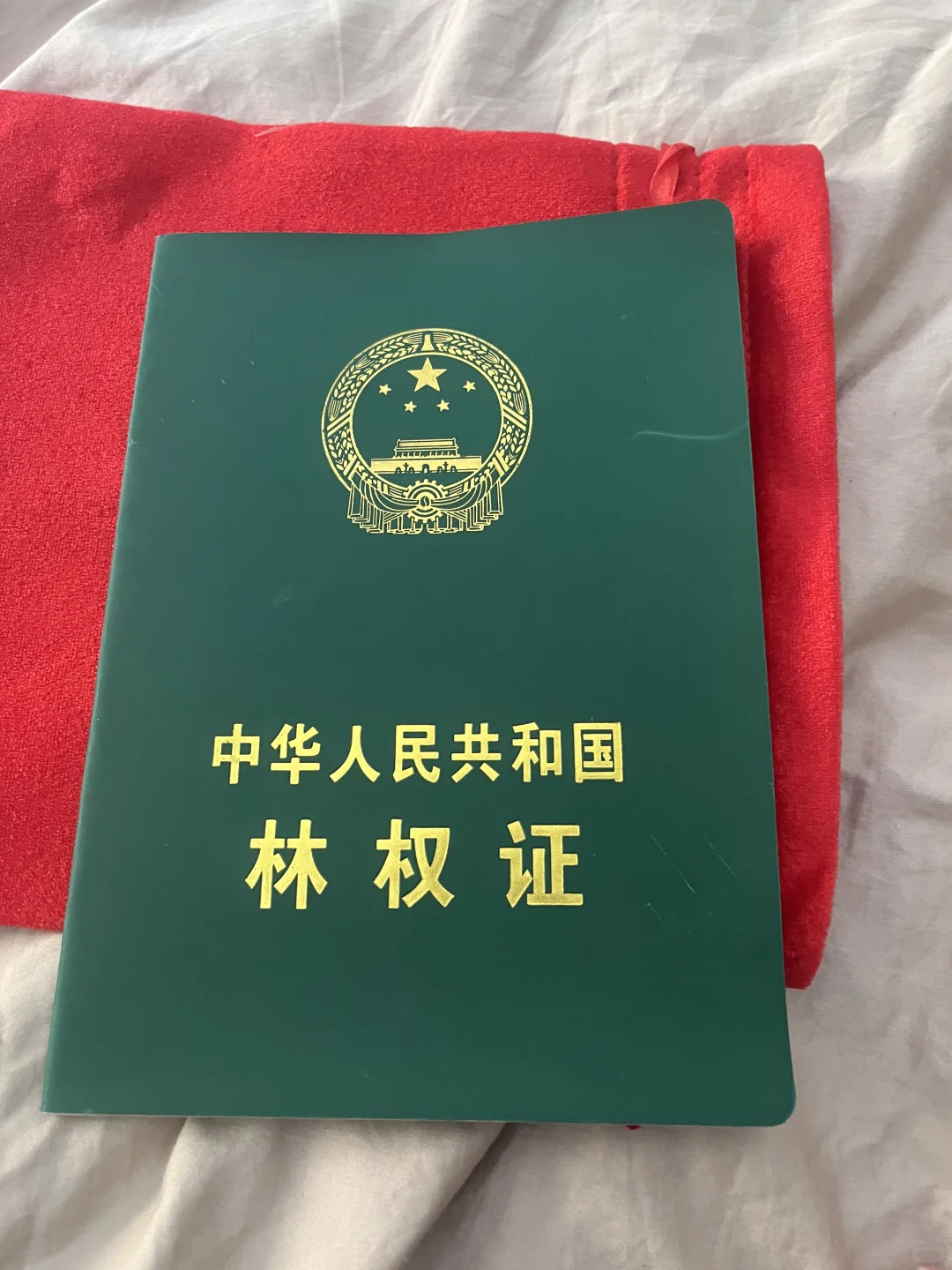 卖林地，有没有大佬收